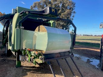 500 X Maize Silage 5X4 Round Bales