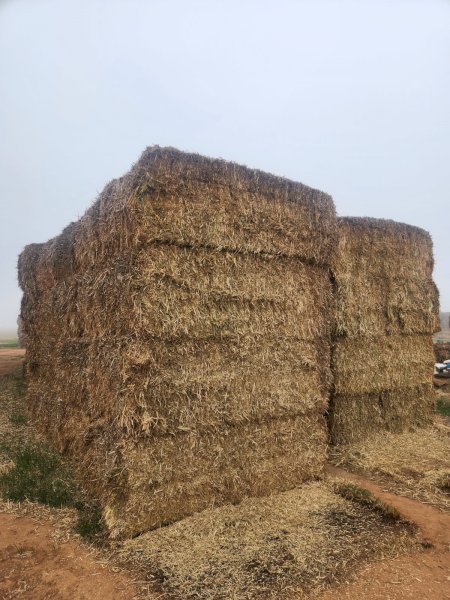 85mt Oaten Hay 660kg 8x4x3 Bales
