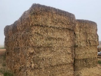85mt Oaten Hay 660kg 8x4x3 Bales