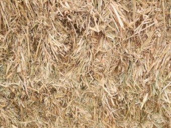 85mt Oaten Hay 660kg 8x4x3 Bales