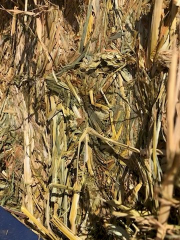 1 x B-Double Load of 24' Season Oaten Hay 8x4x3 Bales