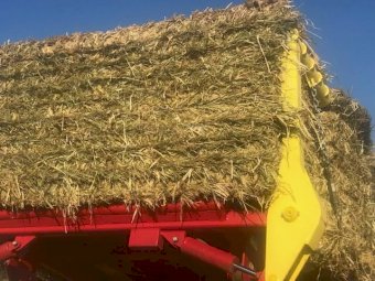 1 x B-Double Load of 24' Season Oaten Hay 8x4x3 Bales