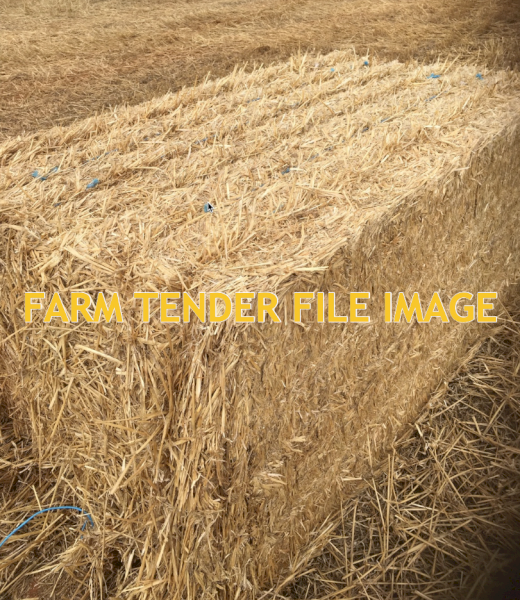 5 x Wheaten Straw 400kg+ 8x4x3 Bales