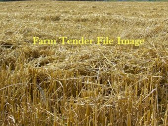 40 mt Wheaten Straw