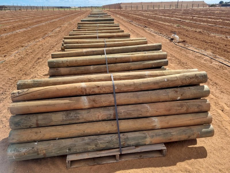 Pine Posts, Trellis Link Angle and Structural Anchors