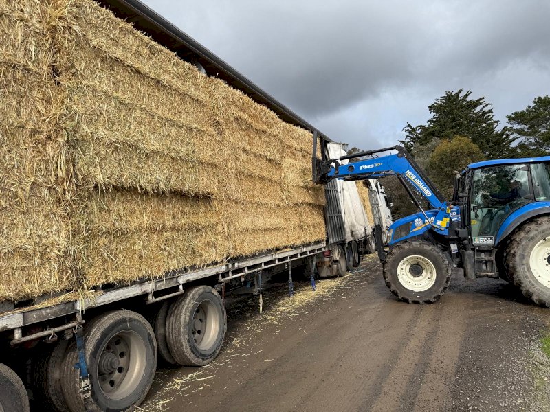 200mt Oaten Hay 580-590kgs 8x4x3 Bales