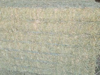 30 mt  Vetch Hay 8x4x3 Bales 24/25 Season