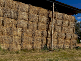 100mt Oaten Hay 580kg 8x4x3 Bales
