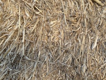 4 B Double loads Wheaten Straw 8x4x3 Bales