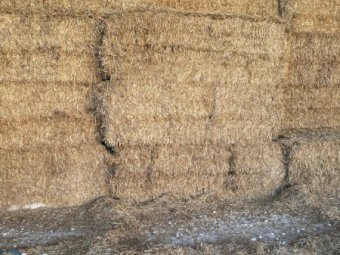 4 B Double loads Wheaten Straw 8x4x3 Bales