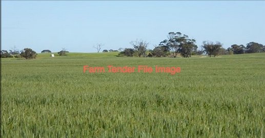 WANTED Land for Lease or Share Farming