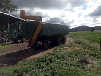 30 mt Suman Motherbin