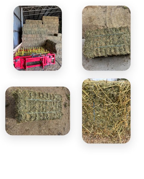 2000 x Lucerne Hay Small Square Bales