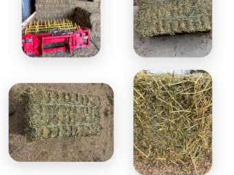 2000 x Lucerne Hay Small Square Bales