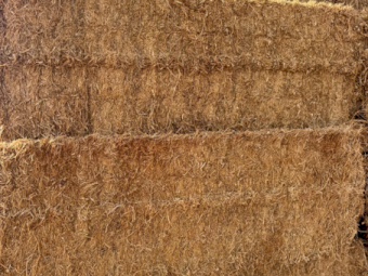 200mt Cavalcade Hay 500kg 8x4x3 Bales