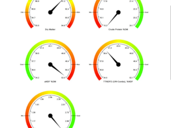 200mt Cavalcade Hay 500kg 8x4x3 Bales