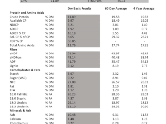200mt Cavalcade Hay 500kg 8x4x3 Bales