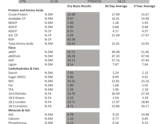 500mt Forage Sorghum/Cowpea Hay 600kg 8x4x3 Bales