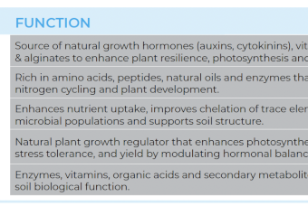 BioMax Boost - 1000L