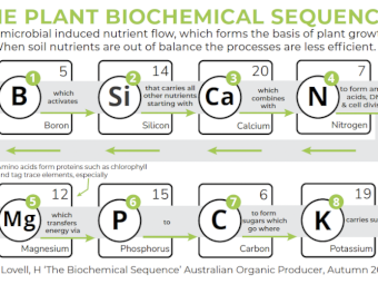 Nutrimax Phoscal Ultra - 800L