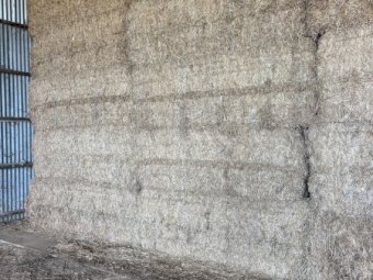 2024 Season A1 Vetch Hay