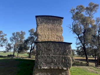 Header Trailed Wheaten Straw