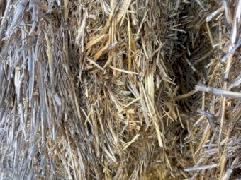 Header Trailed Wheaten Straw