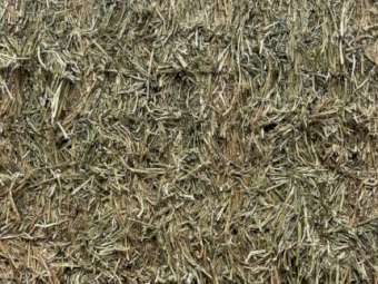 35mt Lucerne Hay 580kg 8x4x3 Bales