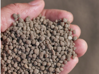 Single Super ex Geelong