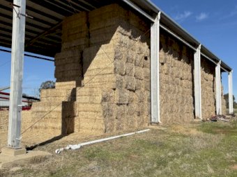 60mt Wheaten Straw 475kg 8x4x3 Bales