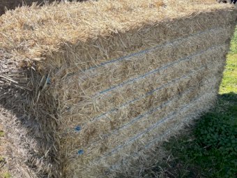 300 x Barley Straw 500-550kg 8x4x3 Bales