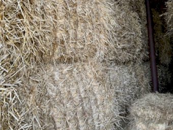 40mt Barley Straw 8x4x3 Bales