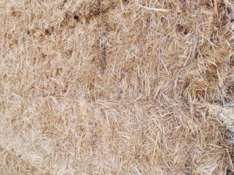 40mt Barley Straw 8x4x3 Bales