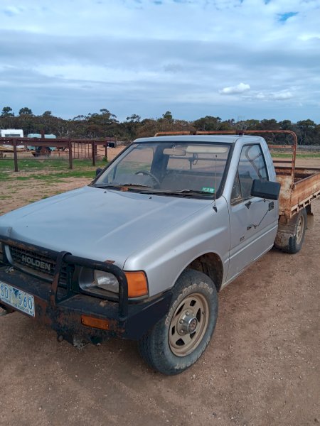 1989 Holden Rodeo Single Cab Ute