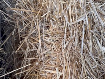 40mt Cereal/rye grass  8x4x3 Bales