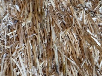 40mt Cereal/rye grass  8x4x3 Bales