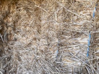 40mt Cereal/rye grass  8x4x3 Bales