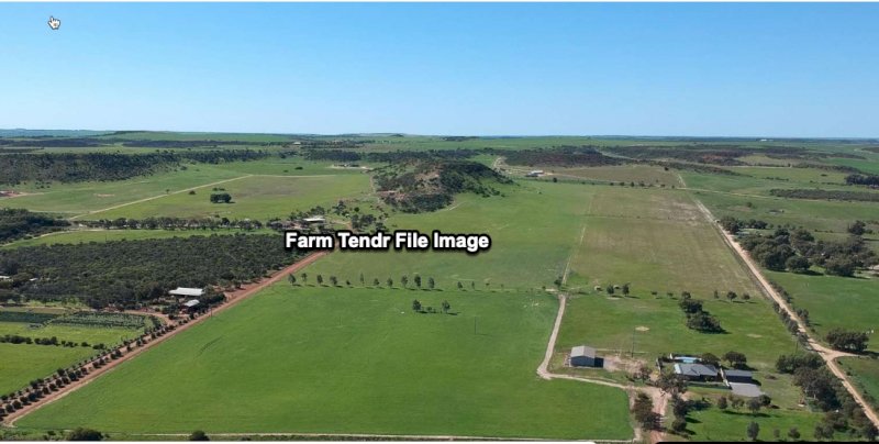 WANTED 40 plus acres for Sheep and Cattle