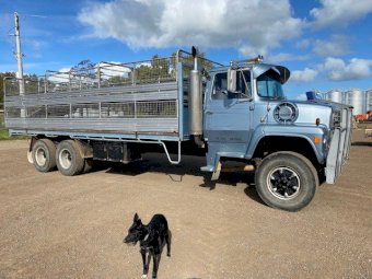 1981 Ford Louisville 8000