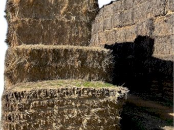 B-Double Load of 22/23 of Oaten Hay