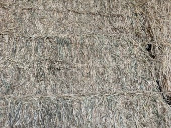 41 Bales of Wheaten Hay 24 Season