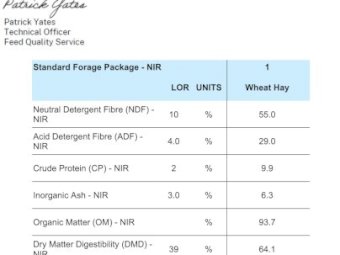 41 Bales of Wheaten Hay 24 Season
