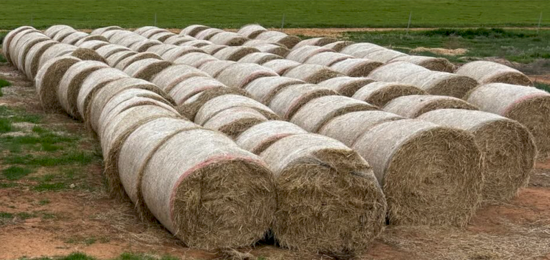 60 x Rice Straw 4x4 Rolls