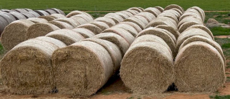 60 x Rice Straw 5x4 Round Bales