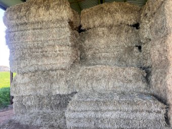 20mt Barley Straw 500-550kg 8x4x3 Bales