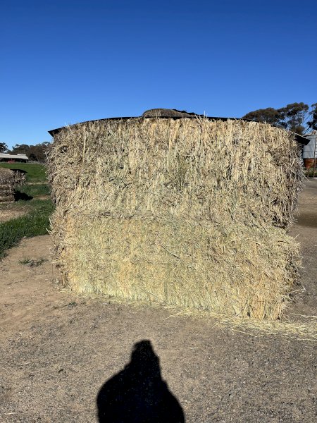 B-Double Load of 22/23 of Oaten Hay