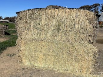 B-Double Load of 22/23 of Oaten Hay