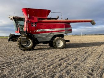 2011 Massey Ferguson 9895 Header with 40ft 9250 Draper Front and Trailer