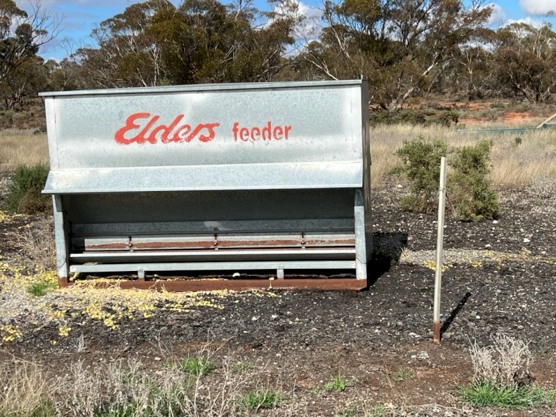 15 X Boyd Sheep Feeders