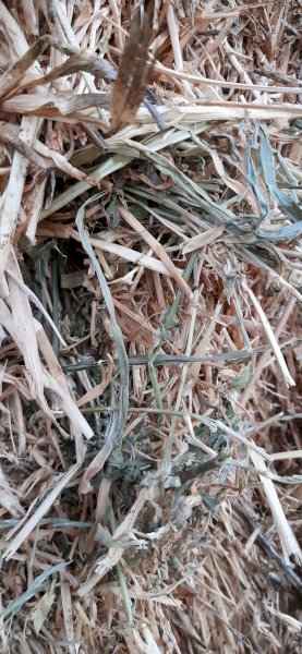 30mt Oaten and Lucerne Mix Hay 500kg 8x4x3 Bales